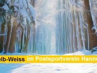 Zeit für Vorsätze: Das neue Kursprogramm 2015!