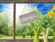 Arbeitseinsatz "Frühjahrsputz" -  Abteilung Tennis